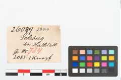 Etikett zu Bronzeringfußknopf (NHMW-PRAE-026019)